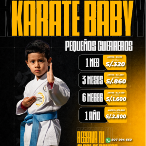 Programa para Baby Dojo de 2 a 4 años mis primeros pasos - Imagen 1