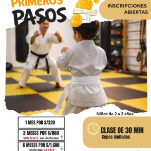 Programa para niños de 2 a 4 años mis primeros pasos - Imagen 1